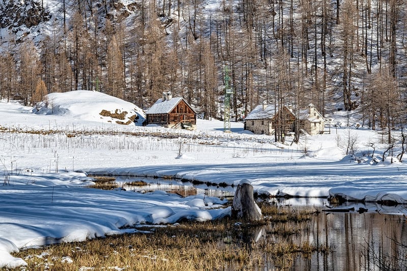 Cozy Cabin